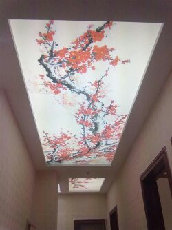 推荐展示
